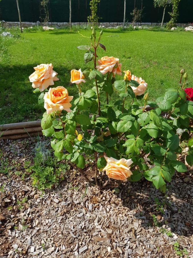 Mas D'Azur Bed and Breakfast Roquefort-les-Pins Buitenkant foto