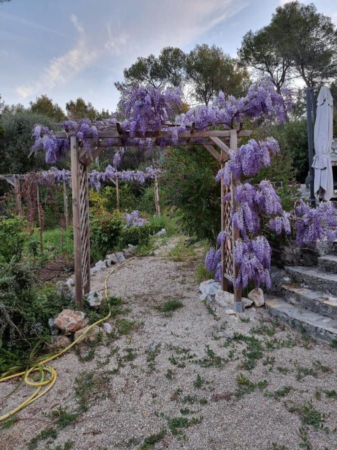 Mas D'Azur Bed and Breakfast Roquefort-les-Pins Buitenkant foto