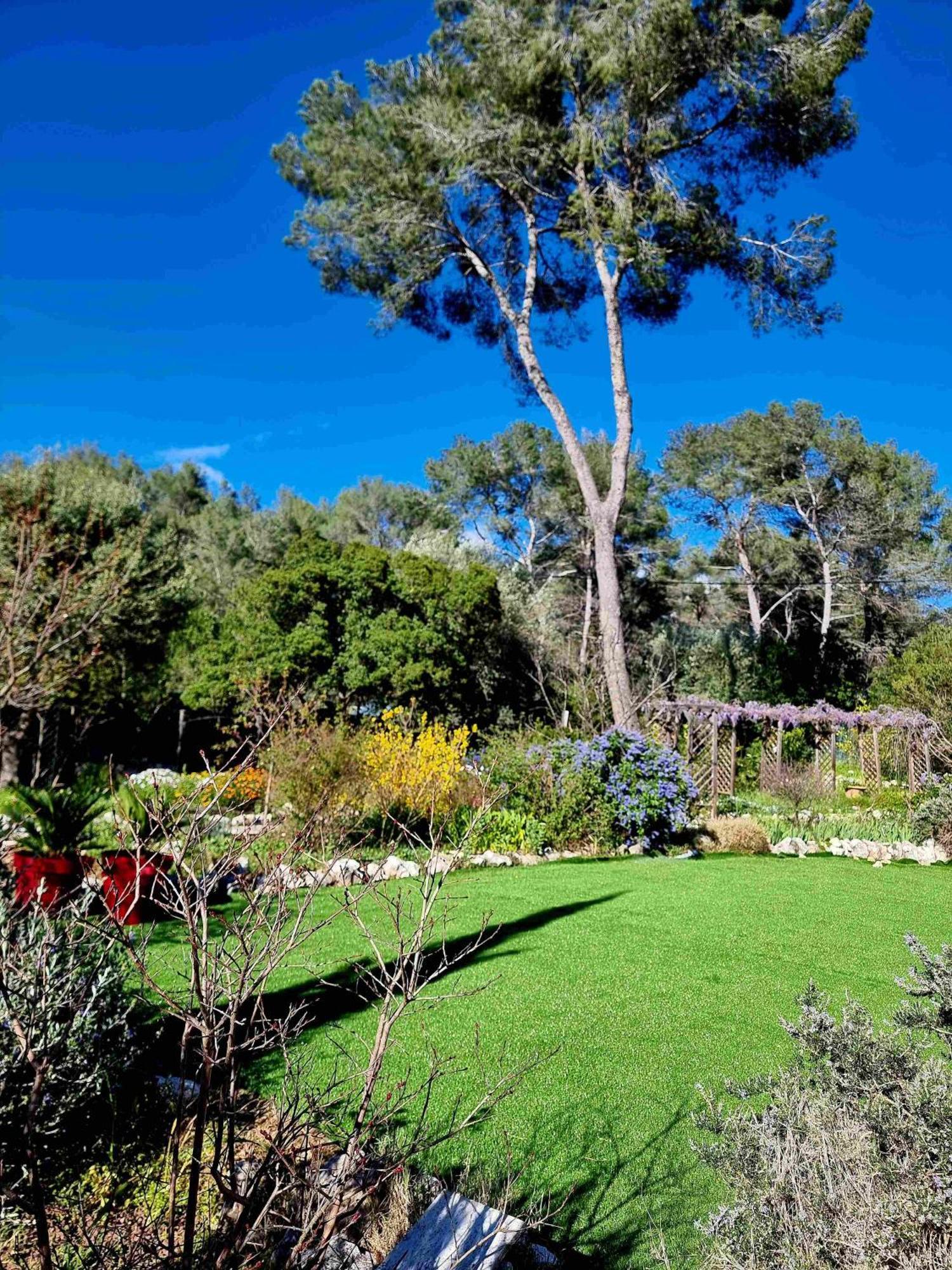 Mas D'Azur Bed and Breakfast Roquefort-les-Pins Buitenkant foto