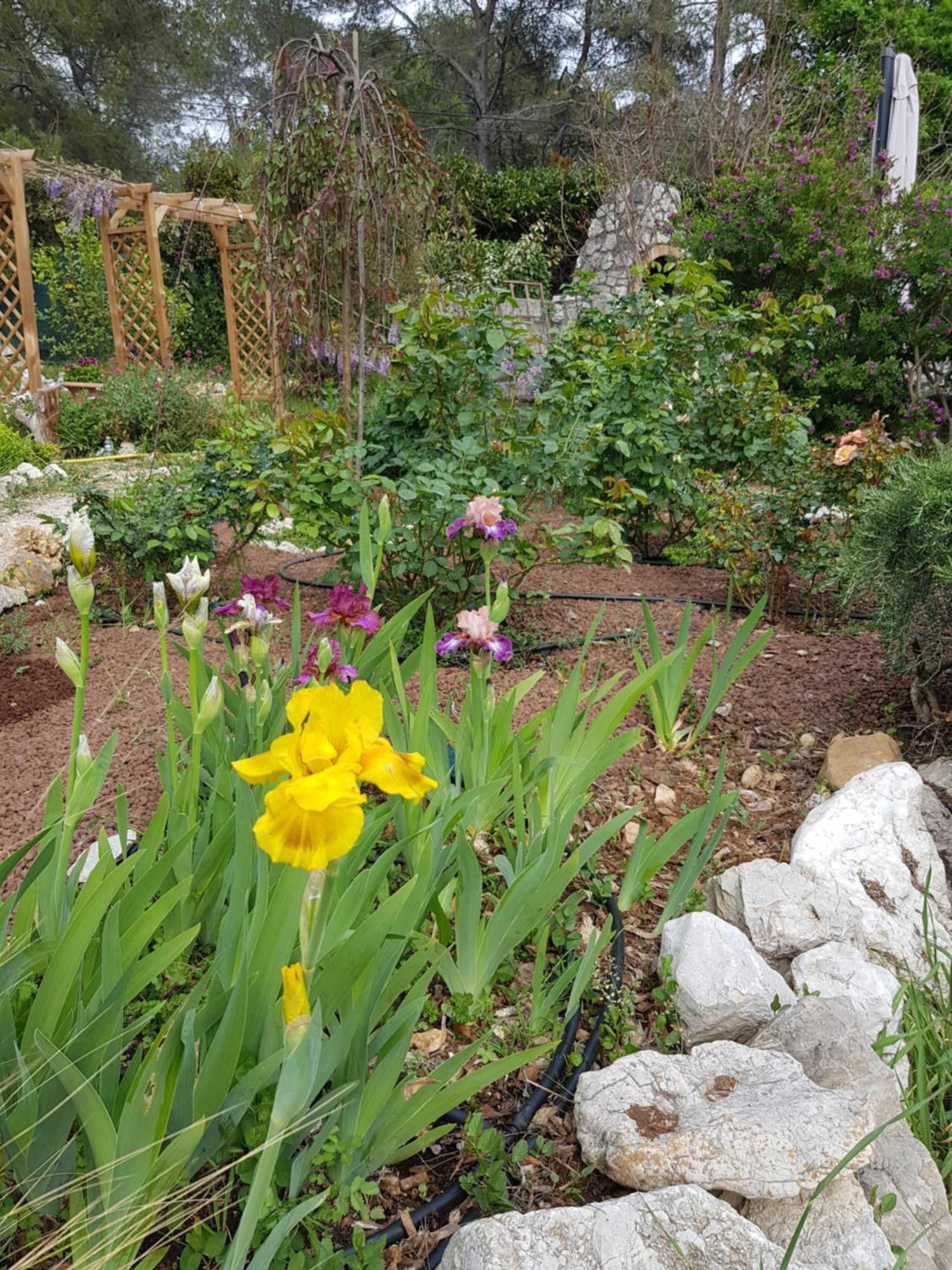Mas D'Azur Bed and Breakfast Roquefort-les-Pins Buitenkant foto