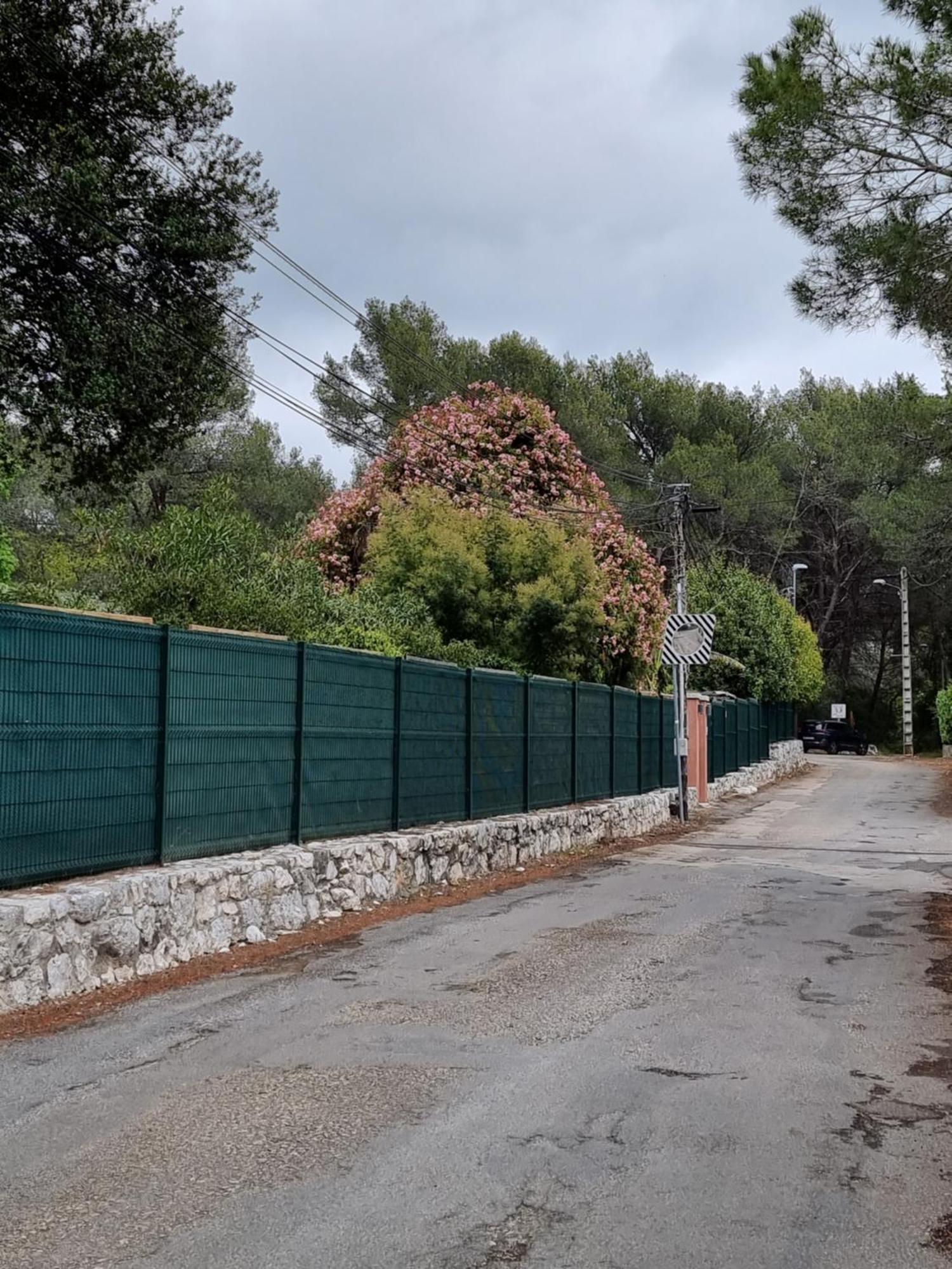 Mas D'Azur Bed and Breakfast Roquefort-les-Pins Kamer foto